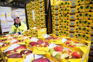 Lufthansa Cargo mit Fresh/td auf der Fruit Logistica