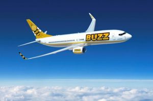 Biene Buzz kommt mit Kattowitz nach Dortmund