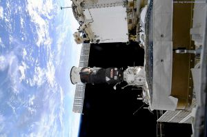 ICARUS: ISS lauscht Flugdaten von Zugvögeln