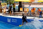 Surf-Camp und Europameisterschaft auf Münchner Flughafen-Welle