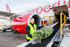 Weihnachtsbaum als Freigepäck bei airberlin