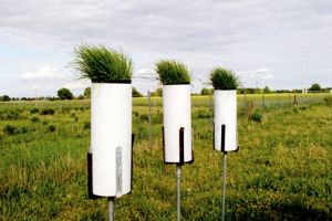 Biomonitoring am Flughafen München mit TÜV-Bericht